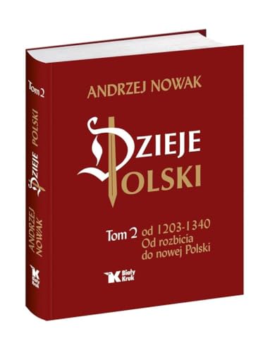 Dzieje Polski Od rozbicia do nowej Polski Tom 2