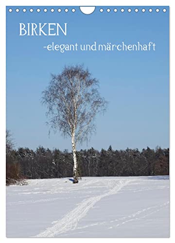 Birken - elegant und märchenhaft (Wandkalender 2024 DIN A4 hoch), CALVENDO Monatskalender