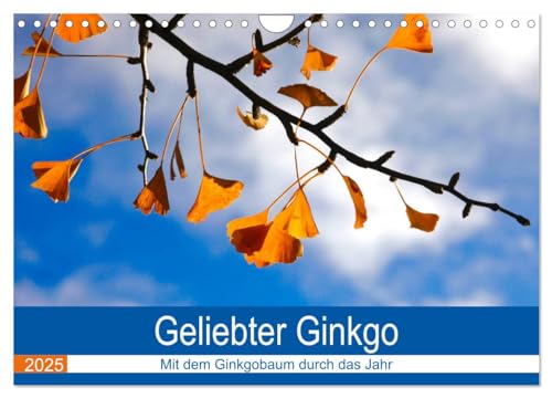 Geliebter Ginkgo (Wandkalender 2025 DIN A4 quer), CALVENDO Monatskalender von CALVENDO