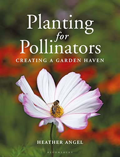 Planting for Pollinators: Creating a Garden Haven von Bloomsbury Wildlife