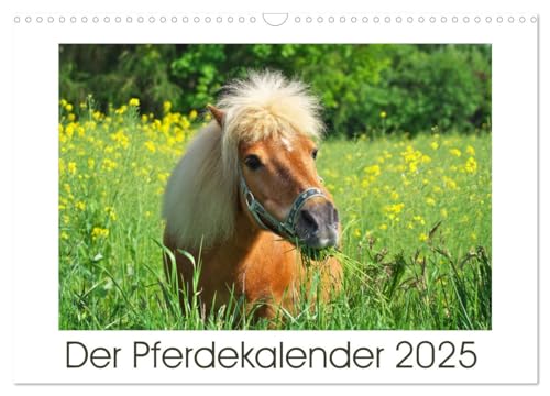 Der Pferdekalender (Wandkalender 2025 DIN A3 quer), CALVENDO Monatskalender von CALVENDO