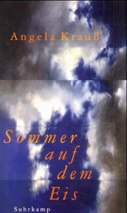 Sommer auf dem Eis von Suhrkamp