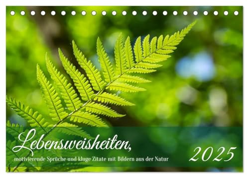 Lebensweisheiten, motivierende Sprüche und kluge Zitate mit Bildern der Natur (Tischkalender 2025 DIN A5 quer), CALVENDO Monatskalender: Mit ... Impusen durchs Jahr. (CALVENDO Natur) von CALVENDO