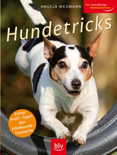 Hundetricks