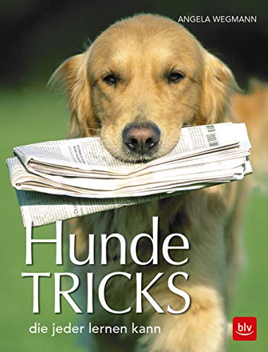 Hundetricks: die jeder lernen kann (BLV Hunde)