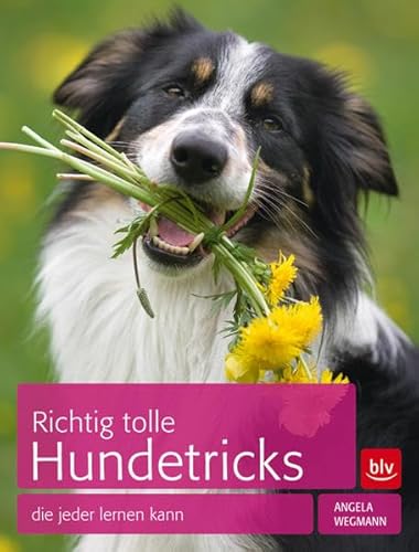 Richtig tolle Hundetricks: die jeder lernen kann Richtig tolle Hundetricks: die jeder lernen kann