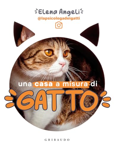 Una casa a misura di gatto (Straordinariamente)