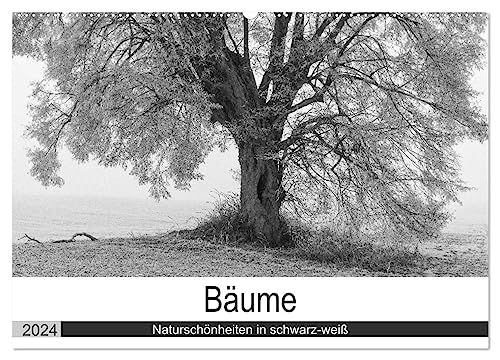 Bäume - Naturschönheiten in schwarz-weiß (Wandkalender 2024 DIN A2 quer), CALVENDO Monatskalender