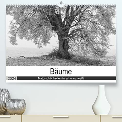 Bäume - Naturschönheiten in schwarz-weiß (hochwertiger Premium Wandkalender 2024 DIN A2 quer), Kunstdruck in Hochglanz