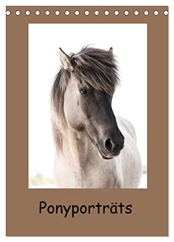Ponyporträts (Tischkalender 2024 DIN A5 hoch), CALVENDO Monatskalender von CALVENDO