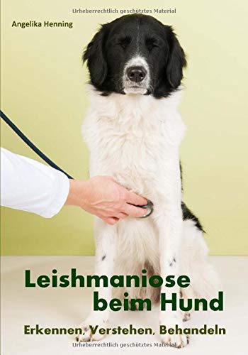 Leishmaniose beim Hund: Erkennen, Verstehen, Behandeln
