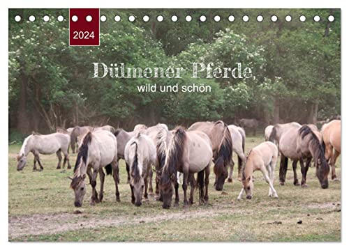 Dülmener Pferde, wild und schön (Tischkalender 2024 DIN A5 quer), CALVENDO Monatskalender