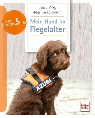 Mein Hund im Flegelalter (Die Hundeschule) von Müller Rüschlikon
