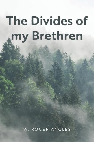 The Divides of my Brethren von Palmetto Publishing