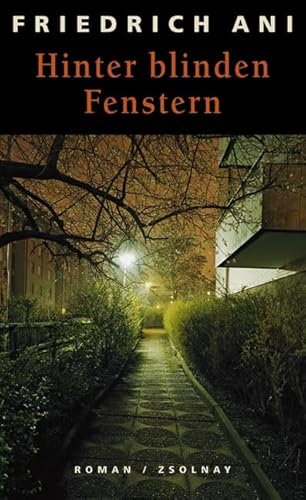 Hinter blinden Fenstern: Roman Hinter blinden Fenstern: Roman