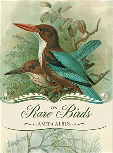 On Rare Birds von LYONS PR