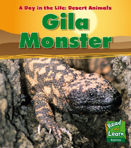 Gila Monster (Day in the Life. Desert Animals)