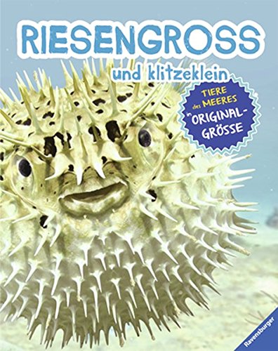 RIESENGROSS und klitzeklein: Tiere des Meeres in Originalgröße von Ravensburger Buchverlag