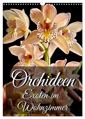 Orchideen - Exoten im Wohnzimmer (Wandkalender 2024 DIN A3 hoch), CALVENDO Monatskalender: Orchideen faszinieren mit ihren exotischen Blüten das ganze Jahr über. (CALVENDO Natur) von CALVENDO