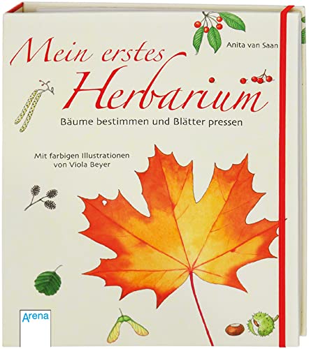 Mein erstes Herbarium - Bäume bestimmen und Blätter pressen von Arena Verlag GmbH