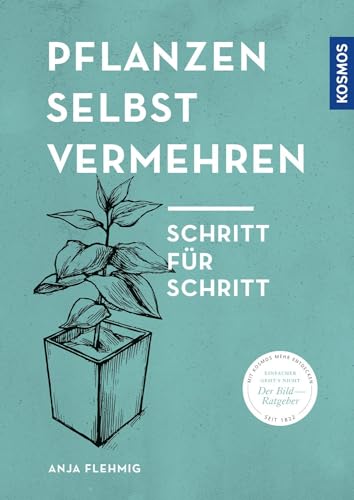 Pflanzen selbst vermehren: Schritt für Schritt