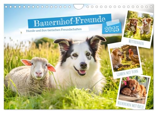Bauernhof-Freunde - Hunde und ihre tierischen Freundschaften (Wandkalender 2025 DIN A4 quer), CALVENDO Monatskalender von CALVENDO
