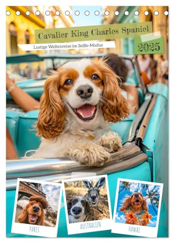 Cavalier King Charles Spaniel - Lustige Weltenreise im Selfie-Modus (Tischkalender 2025 DIN A5 hoch), CALVENDO Monatskalender von CALVENDO