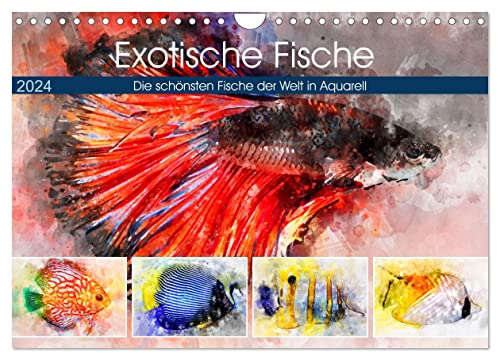 Exotische Fische - Die schönsten Fische der Welt in Aquarell (Wandkalender 2024 DIN A4 quer), CALVENDO Monatskalender von CALVENDO