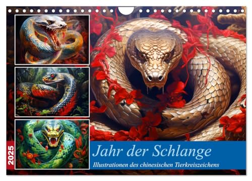 Jahr der Schlange - Illustrationen des chinesischen Tierkreiszeichens (Wandkalender 2025 DIN A4 quer), CALVENDO Monatskalender von CALVENDO