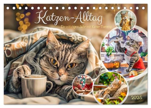 Katzen-Alltag - Ein witziges Jahr mit Kater Tommy (Tischkalender 2025 DIN A5 quer), CALVENDO Monatskalender von CALVENDO