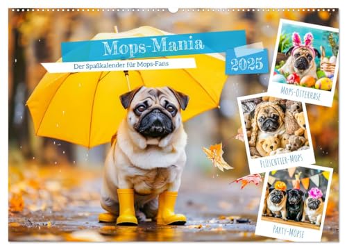 Mops-Mania - Der Spaßkalender für Mops-Fans (Wandkalender 2025 DIN A2 quer), CALVENDO Monatskalender