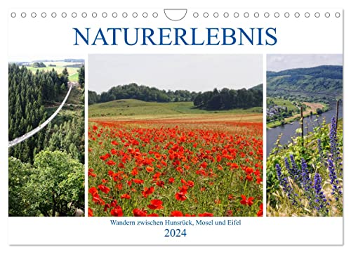 Naturerlebnis - Wandern zwischen Hunsrück, Mosel und Eifel (Wandkalender 2024 DIN A4 quer), CALVENDO Monatskalender