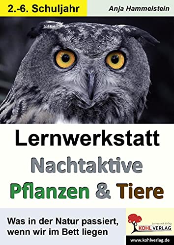 Lernwerkstatt Nachtaktive Pflanzen und Tiere: Was in der Natur passiert, wenn wir im Bett liegen von Kohl Verlag