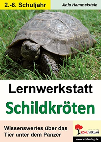 Lernwerkstatt Schildkröten: Wissenswertes über das Tier unter dem Panzer