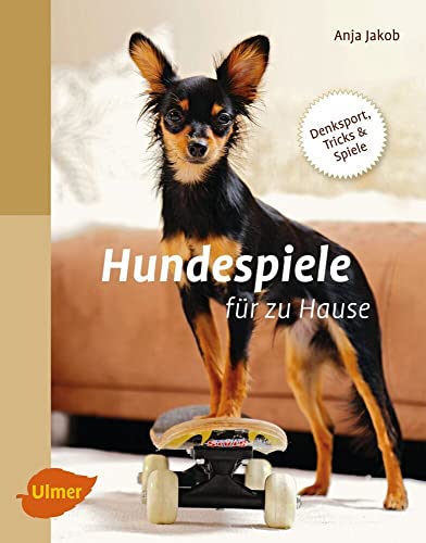 Hundespiele für zu Hause gelb 12 x 3,5 cm: Denksport, Tricks und Spiele