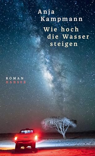 Wie hoch die Wasser steigen: Roman von Hanser, Carl GmbH + Co.