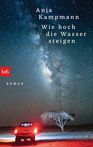 Wie hoch die Wasser steigen: Roman