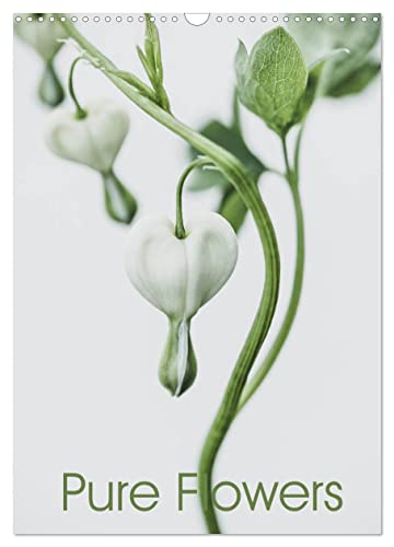 Pure Flowers (Wandkalender 2024 DIN A3 hoch), CALVENDO Monatskalender von CALVENDO