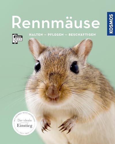 Rennmäuse: halten, pflegen, beschäftigen