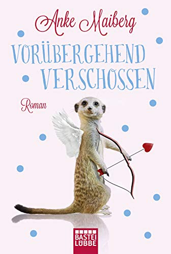 Vorübergehend verschossen: Roman