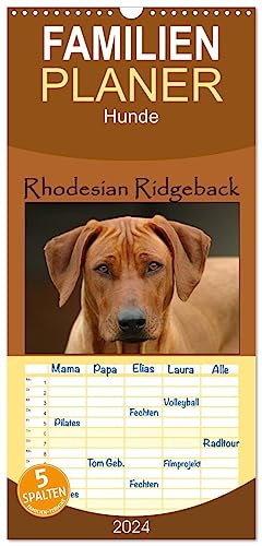 Familienplaner 2024 - Rhodesian Ridgeback Terminkalender mit 5 Spalten (Wandkalender, 21 cm x 45 cm) CALVENDO