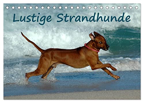 Lustige Strandhunde (Tischkalender 2024 DIN A5 quer), CALVENDO Monatskalender