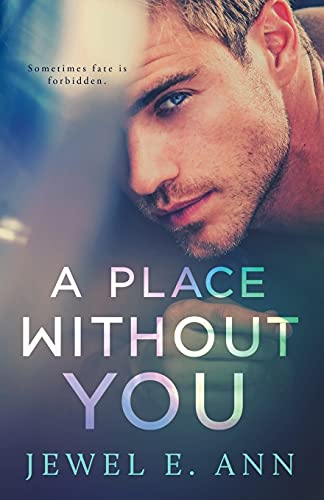 A Place Without you von Jewel E. Ann