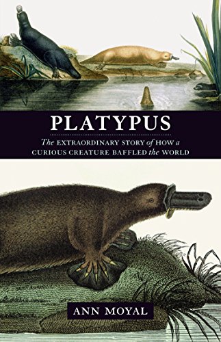 Platypus von Allen & Unwin