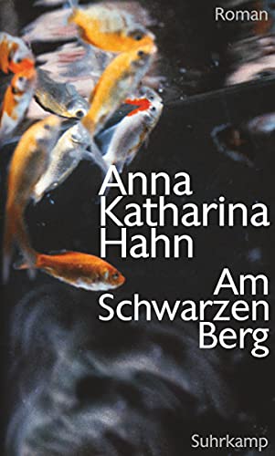 Am Schwarzen Berg: Roman