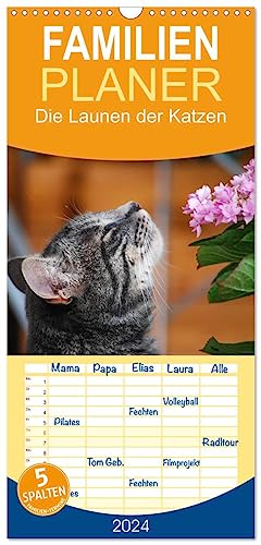 Familienplaner 2024 - Die Launen der Katzen 2024 mit 5 Spalten (Wandkalender, 21 cm x 45 cm) CALVENDO