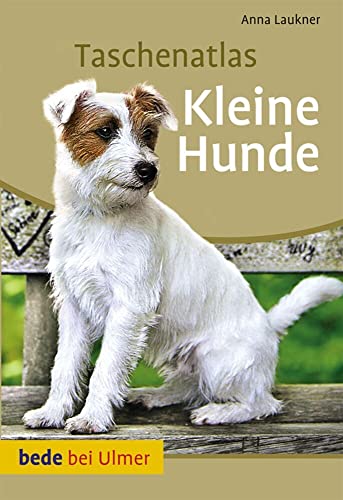 Taschenatlas Kleine Hunde: Die beliebtesten Rassen von A - Z (Taschenatlanten) von Ulmer Eugen Verlag