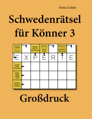 Schwedenrätsel für Könner 3 Großdruck von udv