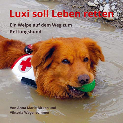 Luxi soll Leben retten: Ein Welpe auf dem Weg zum Rettungshund