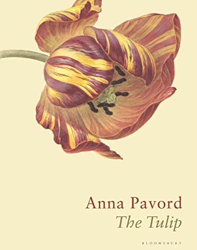 The Tulip: The Story of a Flower That Has Made Men Mad von Bloomsbury
